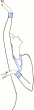 Logo de Les Pascotines
