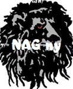 Logo de NAG & BY