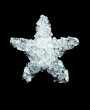 Logo de Christine Escher SARL