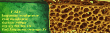 Logo de  fad Fad Laques