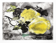 Soleil en Catalogne Barbara, Dali, Miro, Picasso, Tapies