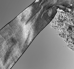 Logo de Catherine Brunel fra-joséphine