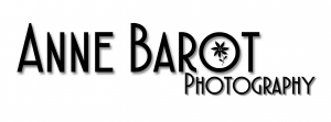 Logo de Anne BAROT